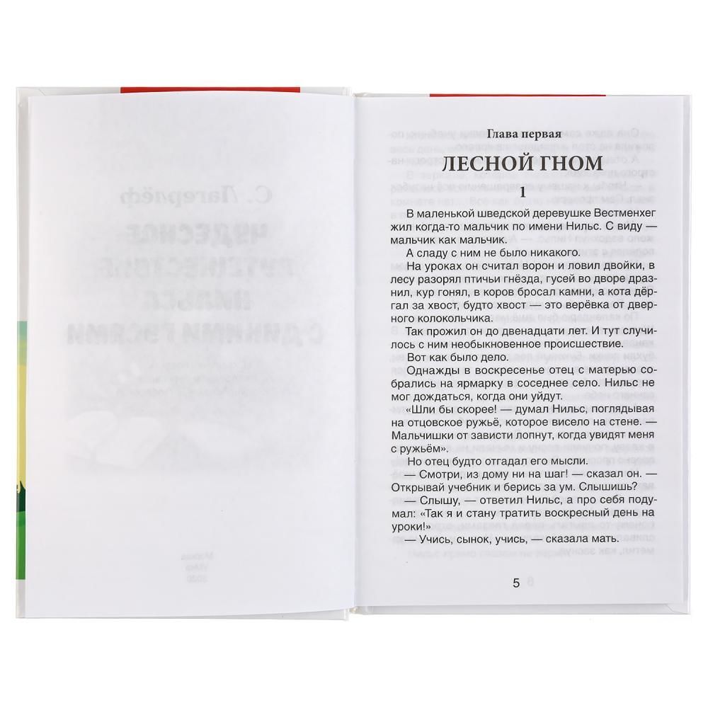 Путешествие нильса сколько страниц. Внеклассное чтение. чудесное путешествие нильса.