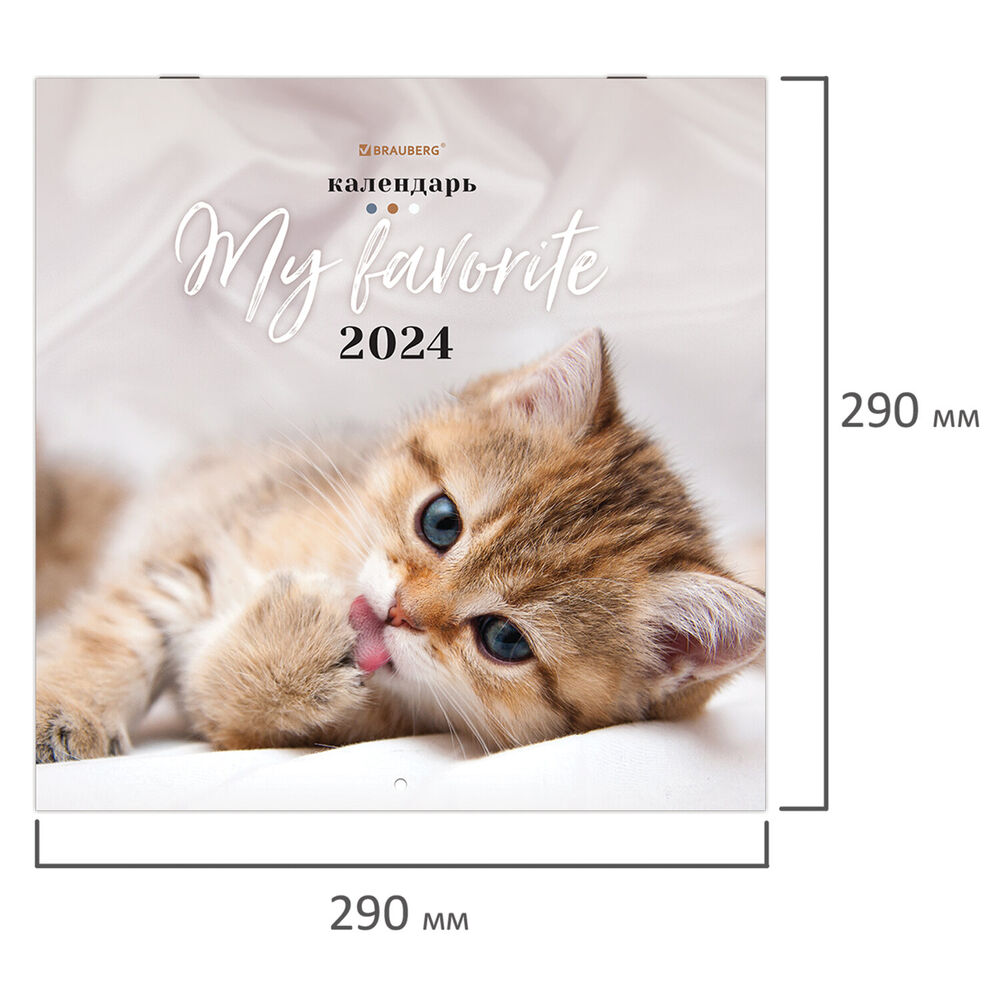 Календарь настенный на 2024 год Милые котики (29х29 см) Brauberg : купить  в интернет-магазине — OZ.by