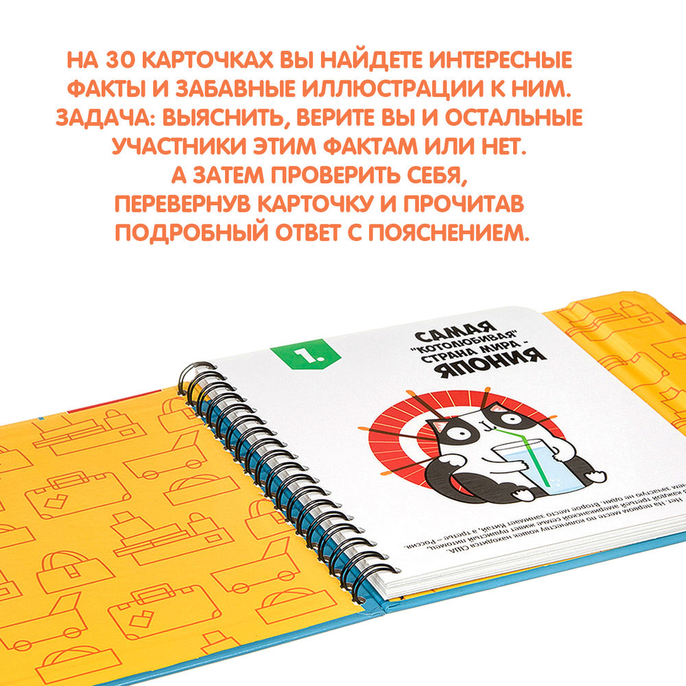 Верю – не верю BondiBon : купить настольную игру Верю – не верю в  интернет-магазине — OZ.by