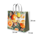 Пакет бумажный подарочный 