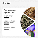 Парфюмерная вода унисекс 