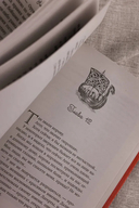 Королева скалистого берега. Песнь валькирии — фото, картинка — 9