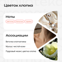 Парфюмерная вода унисекс 