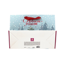 Пакет бумажный подарочный 