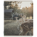 Набор предметных тетрадей 