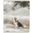 Набор предметных тетрадей 