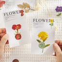 Набор наклеек 