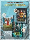 Полет сокола: рубеж — фото, картинка — 10