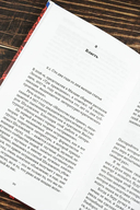 Эти сумасшедшие русские. Краткий курс русской литературы 1820-1991 — фото, картинка — 7