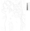 Картина по номерам 