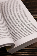 Иосиф и его братья. Том 1 — фото, картинка — 4