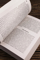 Иосиф и его братья. Том 1 — фото, картинка — 5