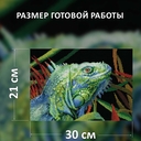 Набор для вышивания 