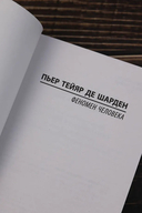 Феномен человека — фото, картинка — 3