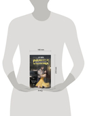 Потерянное солнце — фото, картинка — 3