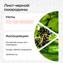 Парфюмерное масло унисекс 