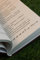 Поймать удачу за хвост — фото, картинка — 7