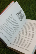 Поймать удачу за хвост — фото, картинка — 8