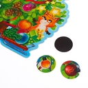 Набор магнитов 