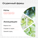 Парфюмерное масло унисекс 