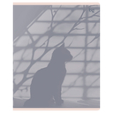 Тетрадь полуобщая в клетку 