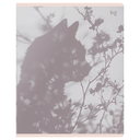 Тетрадь полуобщая в клетку 