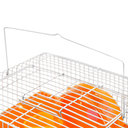 Клетка для грызунов (27х20х16 см) — фото, картинка — 4