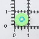 Бусины из полимерной глины 