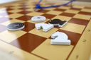 Магнитные демонстрационные шахматы и шашки — фото, картинка — 4