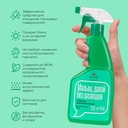 Средство для мытья стекол и зеркал 