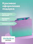 Пакет бумажный подарочный 