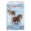 Набор для вышивания на пластиковой канве 