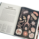 Анатомикум — фото, картинка — 3