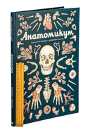 Анатомикум — фото, картинка — 1