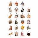 Набор виниловых наклеек 