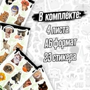 Набор виниловых наклеек 