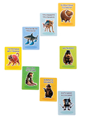 Ктояжка — фото, картинка — 8