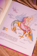 Бестиарий китайской мифологии. Книга гор и морей — фото, картинка — 3