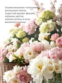 Гель для душа 