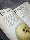 Магический бестиарий — фото, картинка — 4