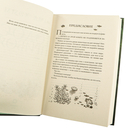 Голос прибоя — фото, картинка — 3