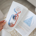 Анатомия бега — фото, картинка — 3