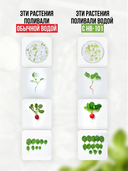 Регулятор роста растений 