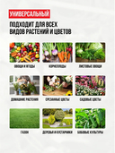 Регулятор роста растений 