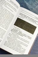 Глориаль — фото, картинка — 8