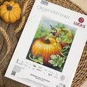 Набор для вышивания 