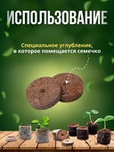 Торфяные таблетки 