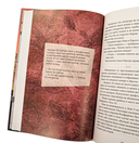 Первоклассный адвокат. Том 2 — фото, картинка — 12