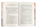 Первоклассный адвокат. Том 2 — фото, картинка — 10