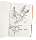 Первоклассный адвокат. Том 2 — фото, картинка — 9